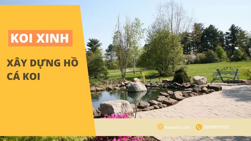Xây Dựng Hồ Cá Koi Xây Dựng Hồ Cá Koi