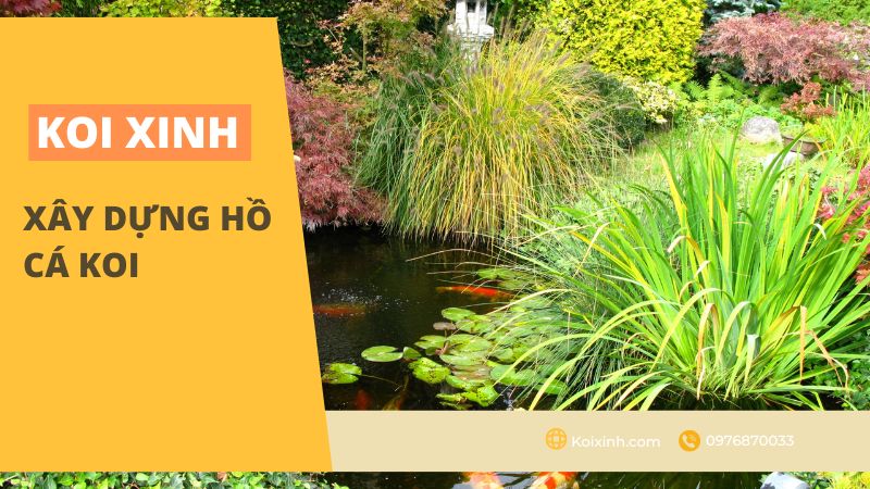 Xây Dựng Hồ Cá Koi Xây Dựng Hồ Cá Koi
