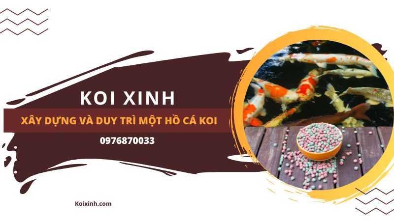 Xây Dựng Và Duy Trì Một Hồ Cá Koi Xây Dựng Và Duy Trì Một Hồ Cá Koi