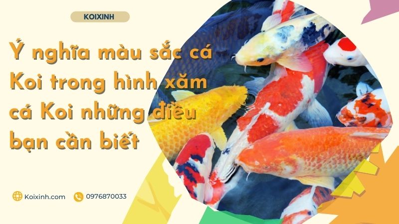 Hình xăm cá Koi - Ý nghĩa màu sắc của hình xăm và những điều bạn cần biết