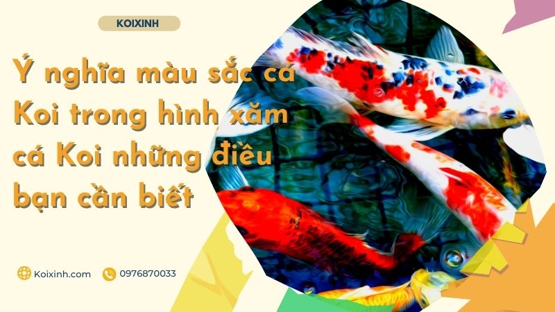 Hình xăm cá Koi - Ý nghĩa màu sắc của hình xăm và những điều bạn cần biết