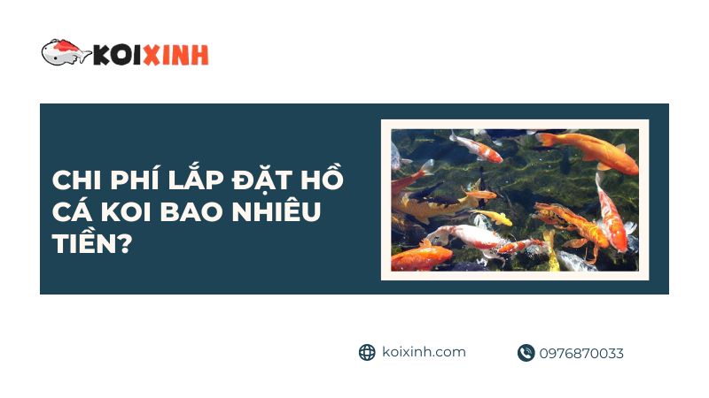 Chi Phí Lắp đặt Ao Bao Nhiêu Tiền?