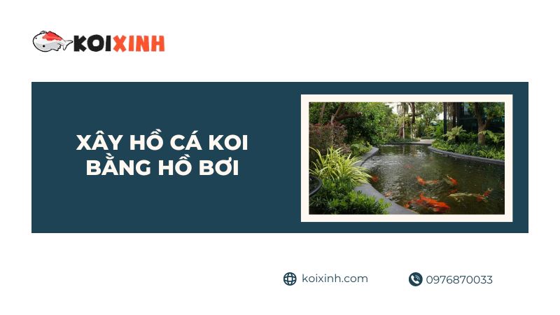 Xây Hồ Cá Koi Bằng Hồ Bơi – Có Thể Bơi Cùng Koi Hay Không
