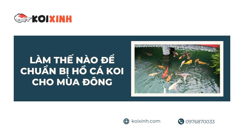 Làm Thế Nào để Chuẩn Bị Ao Của Bạn Cho Mùa đông