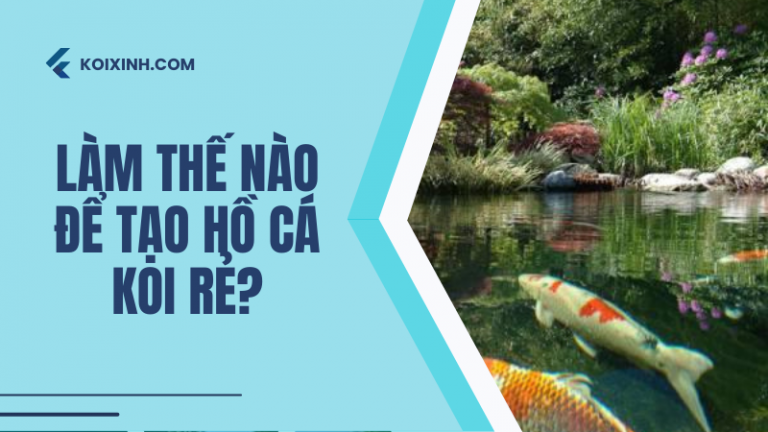 Trả Lời Nhanh: Làm Thế Nào để Tạo Hồ Cá Koi Rẻ? Trả Lời Nhanh: Làm Thế Nào để Tạo Hồ Cá Koi Rẻ?