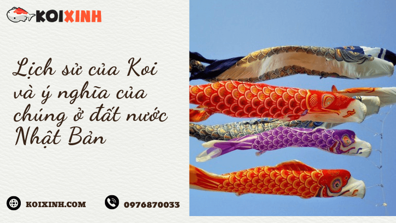 Lịch Sử Của Koi Và ý Nghĩa Của Chúng ở đất Nước Nhật Bản Lịch Sử Của Koi Và ý Nghĩa Của Chúng ở đất Nước Nhật Bản