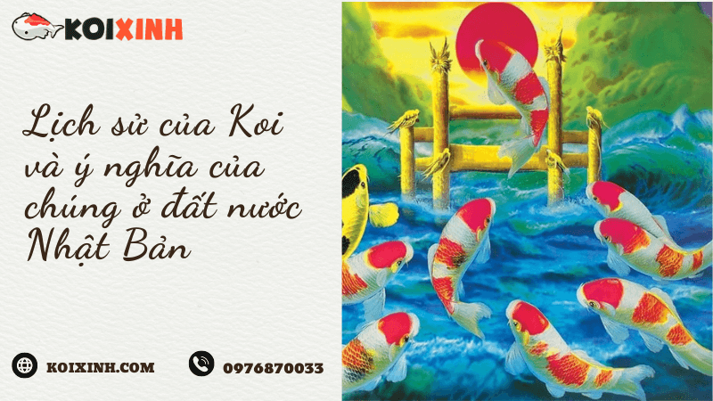 Lịch Sử Của Koi Và ý Nghĩa Của Chúng ở đất Nước Nhật Bản Lịch Sử Của Koi Và ý Nghĩa Của Chúng ở đất Nước Nhật Bản