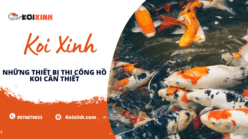 Những Thiết Bị Thi Công Hồ Koi Cần Thiết Bạn Nên Biết