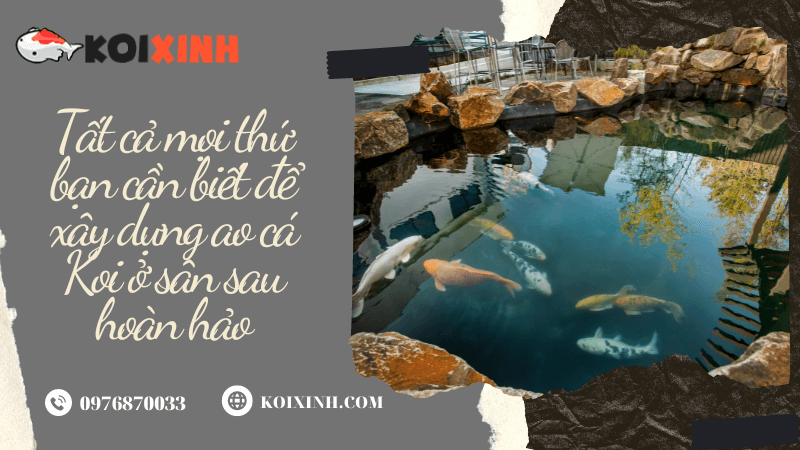 Tất Cả Mọi Thứ Bạn Cần Biết để Xây Dựng Ao Cá Koi ở Sân Sau Hoàn Hảo Tất Cả Mọi Thứ Bạn Cần Biết để Xây Dựng Ao Cá Koi ở Sân Sau Hoàn Hảo