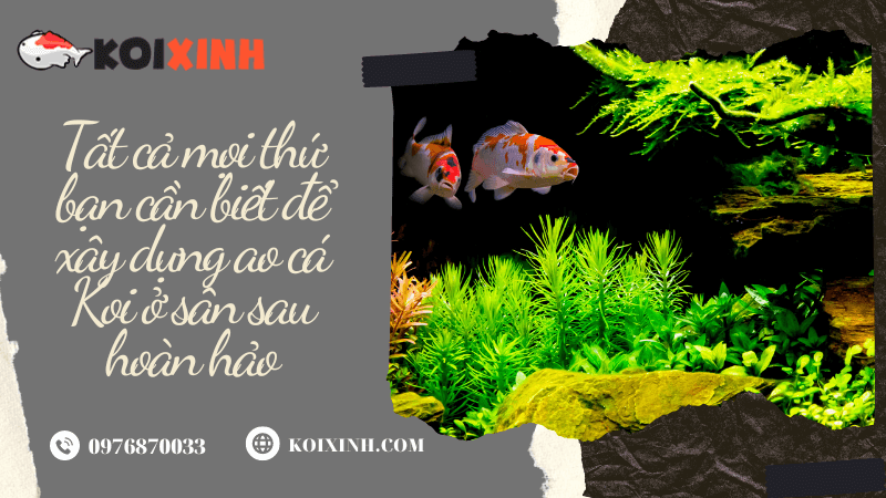 Tất Cả Mọi Thứ Bạn Cần Biết để Xây Dựng Ao Cá Koi ở Sân Sau Hoàn Hảo Tất Cả Mọi Thứ Bạn Cần Biết để Xây Dựng Ao Cá Koi ở Sân Sau Hoàn Hảo
