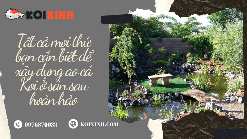 Tất Cả Mọi Thứ Bạn Cần Biết để Xây Dựng Ao Cá Koi ở Sân Sau Hoàn Hảo