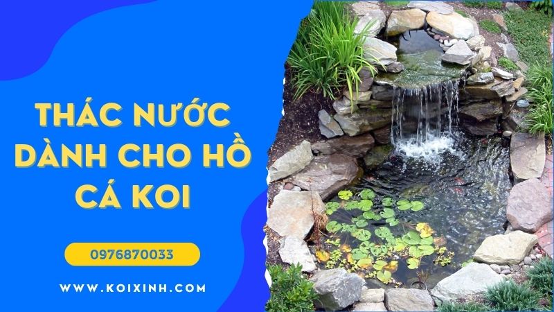 Thác Nước Dành Cho Hồ Cá Koi Bạn Nên Biết