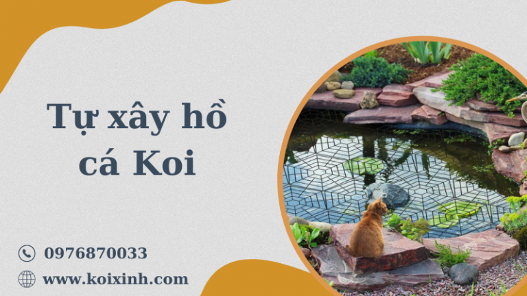 Tự Xây Hồ Cá Koi Và Mẹo Giúp Bảo Vệ Koi Khỏi Kẻ Săn Mồi Tự Xây Hồ Cá Koi Và Mẹo Giúp Bảo Vệ Koi Khỏi Kẻ Săn Mồi