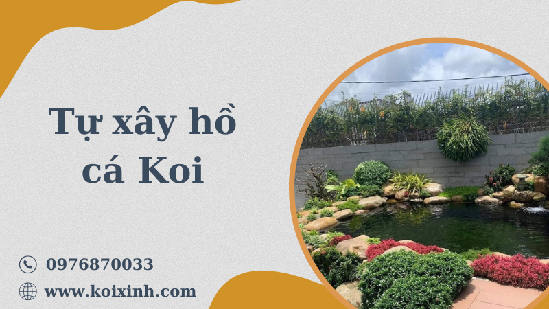 Tự Xây Hồ Cá Koi Và Mẹo Giúp Bảo Vệ Koi Khỏi Kẻ Săn Mồi