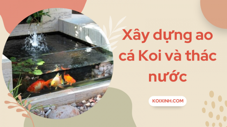 Cách Xây Dựng Một Ao Cá Koi Và Thác Nước