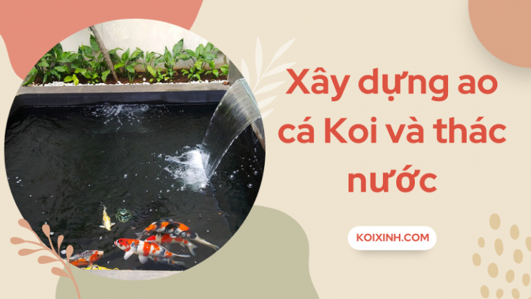 Cách Xây Dựng Một Ao Cá Koi Và Thác Nước