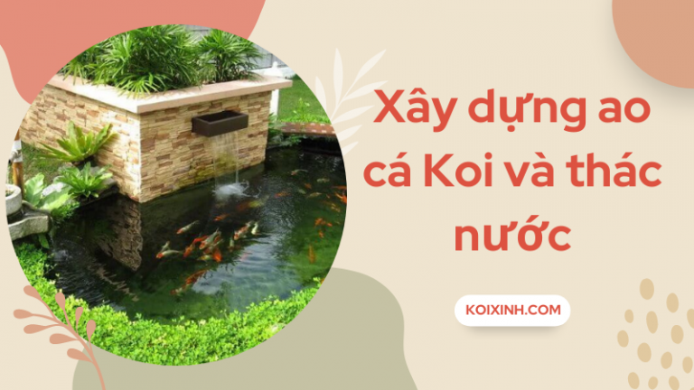Cách Xây Dựng Một Ao Cá Koi Và Thác Nước