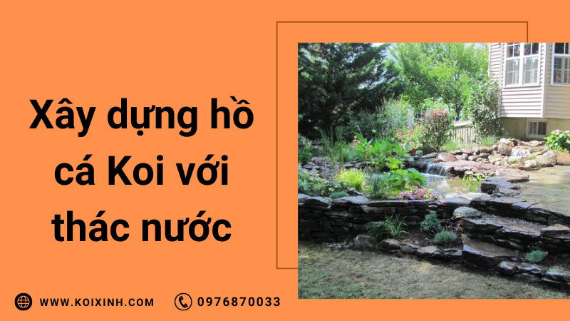 Làm Thế Nào để Xây Dựng Một Hồ Cá Koi Với Một Thác Nước Mà Bạn Sẽ Yêu Thích