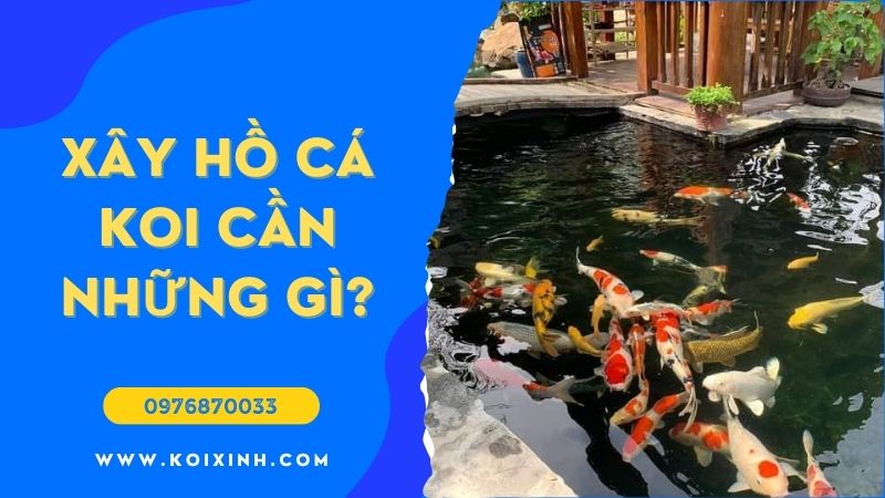 Xây Hồ Cá Koi Cần Những Gì?