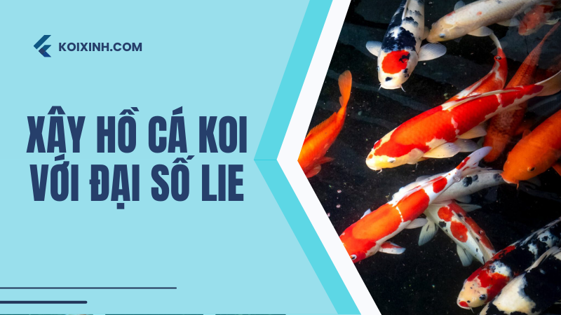 Xây Hồ Cá Koi Với đại Số Lie
