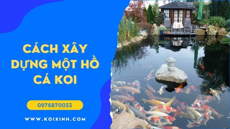Làm Thế Nào để Xây Dựng Một Hồ Cá Koi? Làm Thế Nào để Xây Dựng Một Hồ Cá Koi?