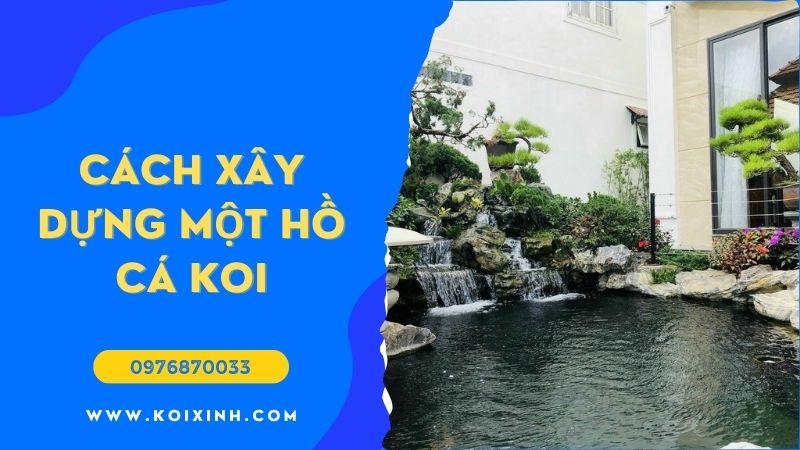 Làm Thế Nào để Xây Dựng Một Hồ Cá Koi? Làm Thế Nào để Xây Dựng Một Hồ Cá Koi?