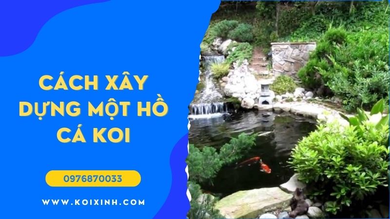 Làm Thế Nào để Xây Dựng Một Hồ Cá Koi?