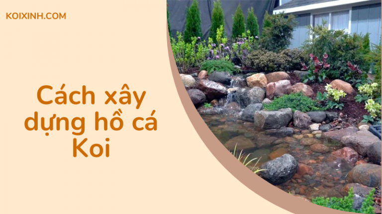 Làm Thế Nào để Xây Dựng Một Hồ Cá Koi – Hướng Dẫn Từng Bước Cơ Bản Làm Thế Nào để Xây Dựng Một Hồ Cá Koi – Hướng Dẫn Từng Bước Cơ Bản
