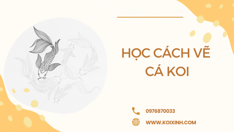 Học Cách Vẽ Cá Koi Với Hướng Dẫn Từng Bước Dễ Dàng Học Cách Vẽ Cá Koi Với Hướng Dẫn Từng Bước Dễ Dàng