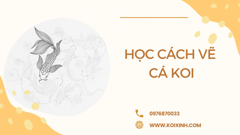 Học Cách Vẽ Cá Koi Với Hướng Dẫn Từng Bước Dễ Dàng Học Cách Vẽ Cá Koi Với Hướng Dẫn Từng Bước Dễ Dàng