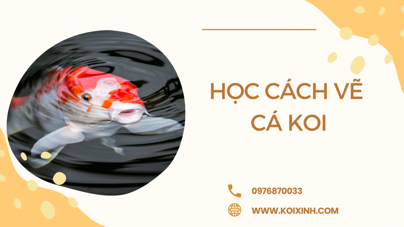 Học Cách Vẽ Cá Koi Với Hướng Dẫn Từng Bước Dễ Dàng