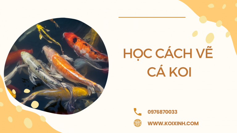 Học Cách Vẽ Cá Koi Với Hướng Dẫn Từng Bước Dễ Dàng