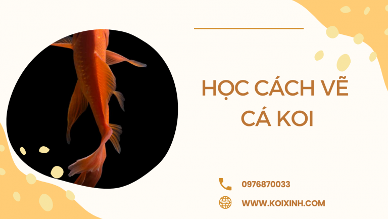 Học Cách Vẽ Cá Koi Với Hướng Dẫn Từng Bước Dễ Dàng - Koi Xinh