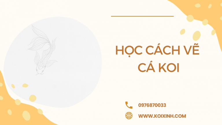 Học Cách Vẽ Cá Koi Với Hướng Dẫn Từng Bước Dễ Dàng Học Cách Vẽ Cá Koi Với Hướng Dẫn Từng Bước Dễ Dàng
