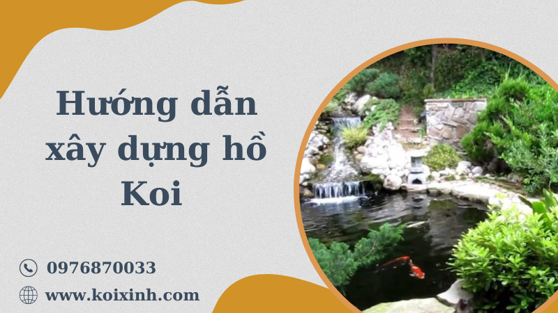Hướng Dẫn Chi Tiết Về Cách Xây Dựng Hồ Koi Dễ Dàng