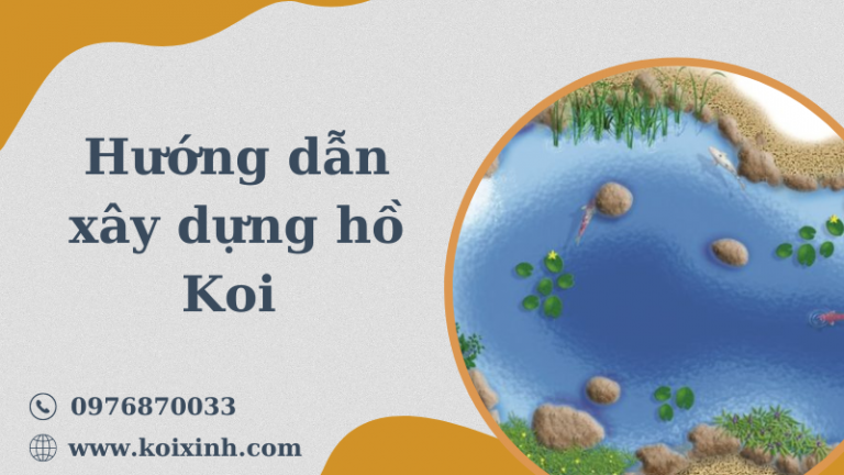 Hướng Dẫn Chi Tiết Về Cách Xây Dựng Hồ Koi Dễ Dàng Hướng Dẫn Chi Tiết Về Cách Xây Dựng Hồ Koi Dễ Dàng