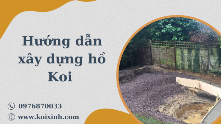 Hướng Dẫn Chi Tiết Về Cách Xây Dựng Hồ Koi Dễ Dàng Hướng Dẫn Chi Tiết Về Cách Xây Dựng Hồ Koi Dễ Dàng