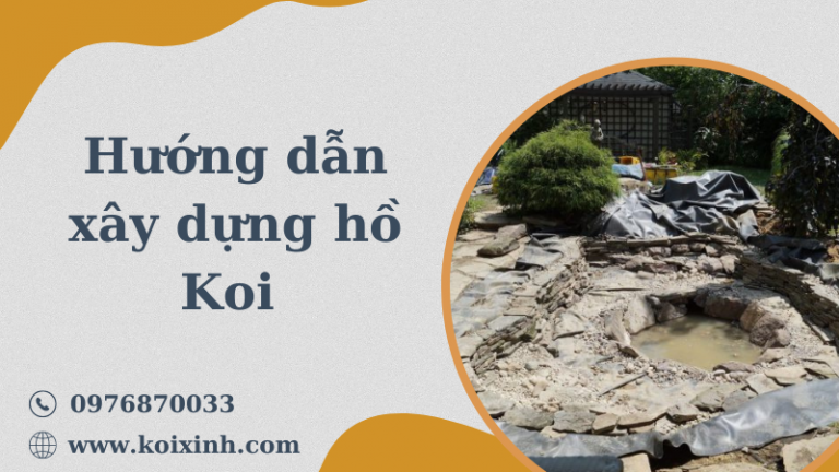 Hướng Dẫn Chi Tiết Về Cách Xây Dựng Hồ Koi Dễ Dàng Hướng Dẫn Chi Tiết Về Cách Xây Dựng Hồ Koi Dễ Dàng
