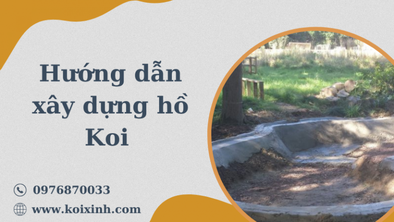 Hướng Dẫn Chi Tiết Về Cách Xây Dựng Hồ Koi Dễ Dàng Hướng Dẫn Chi Tiết Về Cách Xây Dựng Hồ Koi Dễ Dàng