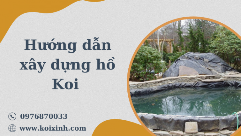 Hướng Dẫn Chi Tiết Về Cách Xây Dựng Hồ Koi Dễ Dàng Hướng Dẫn Chi Tiết Về Cách Xây Dựng Hồ Koi Dễ Dàng