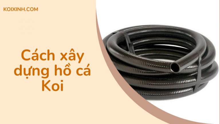 Làm Thế Nào để Xây Dựng Một Hồ Cá Koi – Hướng Dẫn Từng Bước Cơ Bản Làm Thế Nào để Xây Dựng Một Hồ Cá Koi – Hướng Dẫn Từng Bước Cơ Bản