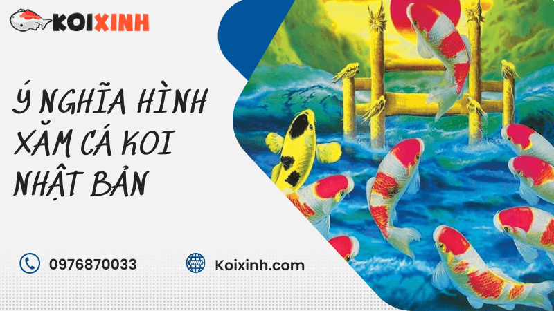Ý Nghĩa Hình Xăm Cá Koi Nhật Bản Ý Nghĩa Hình Xăm Cá Koi Nhật Bản