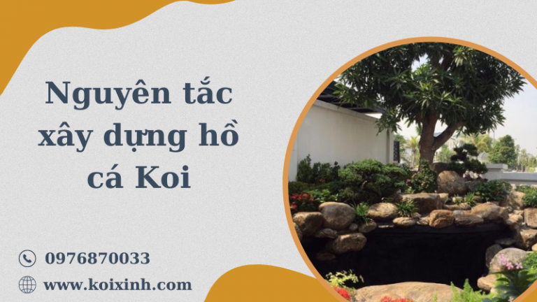 Lịch Sử Hồ Cá Koi Và Các Nguyên Tắc Xây Dựng Hồ Cá Koi Lịch Sử Hồ Cá Koi Và Các Nguyên Tắc Xây Dựng Hồ Cá Koi