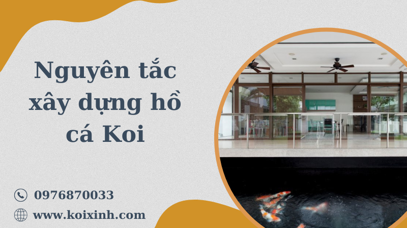 Lịch Sử Hồ Cá Koi Và Các Nguyên Tắc Xây Dựng Hồ Cá Koi
