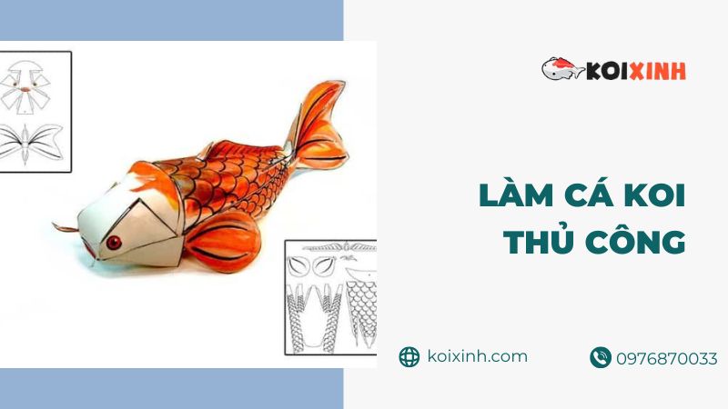 Làm Cá Koi Thủ Công – Làm Thế Nào để Làm Cho Cá Koi Bằng Bìa Cứng?