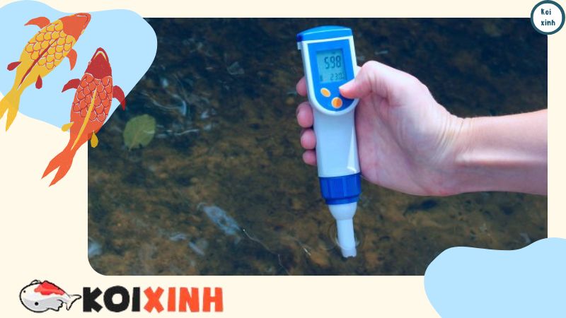 Sự Trao đổi Chất ở Cá Rất Khác So Với ở Người Sự Trao đổi Chất ở Cá Rất Khác So Với ở Người