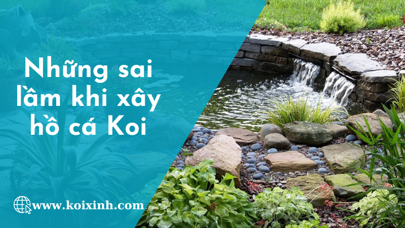 Những Sai Lầm Hay Gặp Khi Xây Hồ Cá Koi