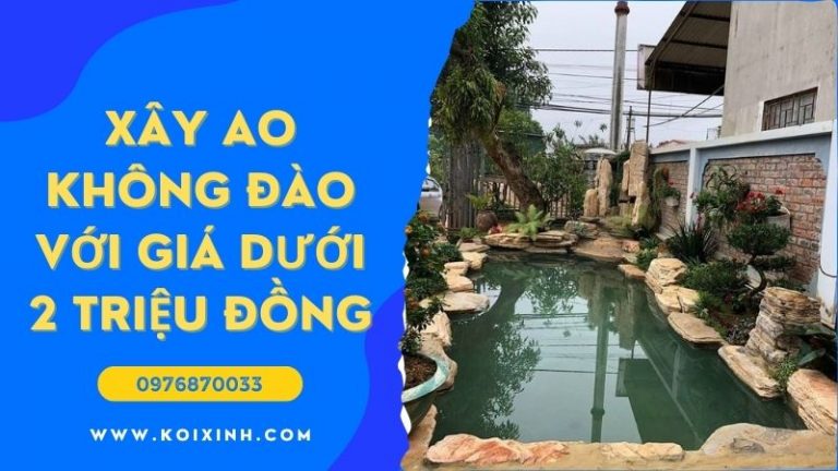 Làm Thế Nào để Xây Một Ao Sau Không đào Với Giá Dưới 2 Triệu đồng Làm Thế Nào để Xây Một Ao Sau Không đào Với Giá Dưới 2 Triệu đồng