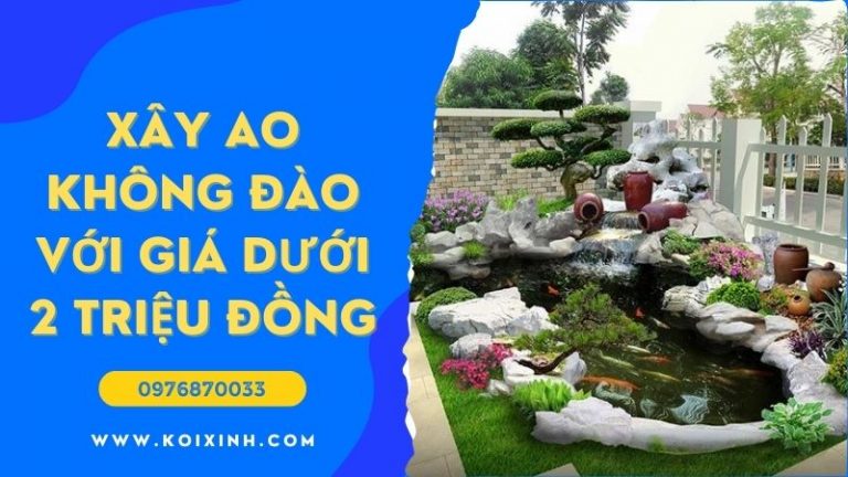 Làm Thế Nào để Xây Một Ao Sau Không đào Với Giá Dưới 2 Triệu đồng Làm Thế Nào để Xây Một Ao Sau Không đào Với Giá Dưới 2 Triệu đồng