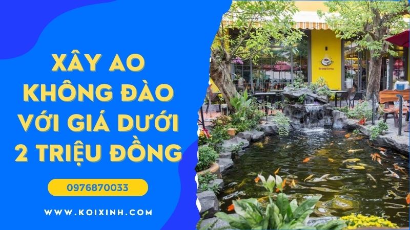 Làm Thế Nào để Xây Một Ao Sau Không đào Với Giá Dưới 2 Triệu đồng